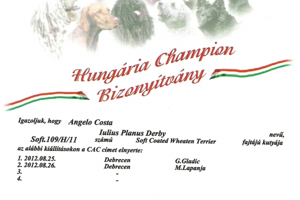 scansione000648855756-5992-F08C-E768-6B4A0E9C2FF2.jpg