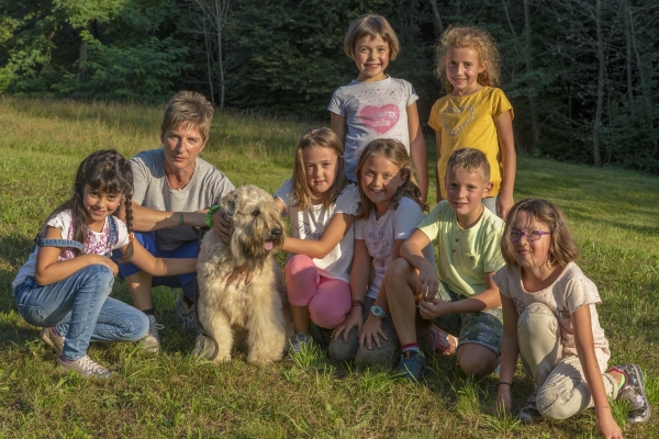 irish soft coated wheaten terrier iulius terriers