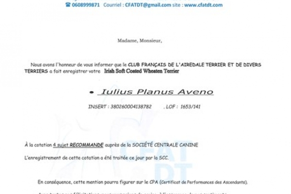aveno-diplomi-page-0001-424-x-600A9509690-0053-970C-D8AF-E38E469162A4.jpg