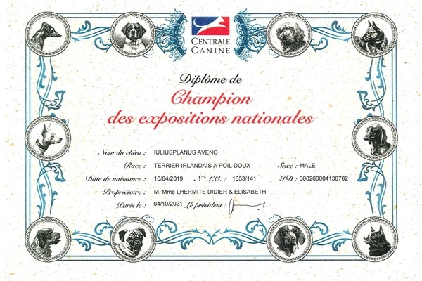 aveno-diplomi-page-0002-600-x-424F8A67DC5-6E0F-E21B-0E9E-35A5A1AF6170.jpg