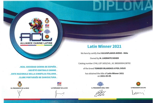 aveno-diplomi-page-0004-600-x-424BF31C3E7-D43B-BC2A-46AA-50C0633F3D5E.jpg