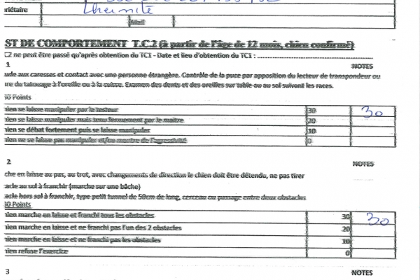 aveno-diplomi-page-000554282073-9F57-8C55-ADFA-3EE4E38E6FAF.jpg