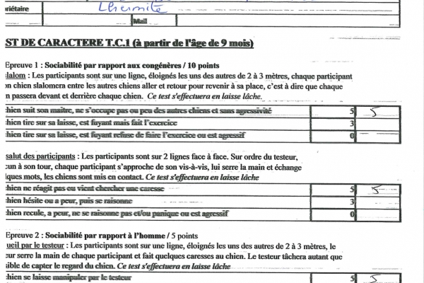 aveno-diplomi-page-0006BB6E319E-E9DD-1922-0CEB-C5C673292C1B.jpg