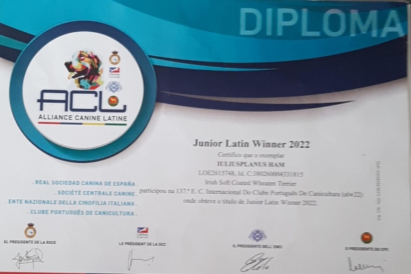 junior-latin-winner267F8ABE-ECB9-F429-044B-8B4E302DD425.jpg