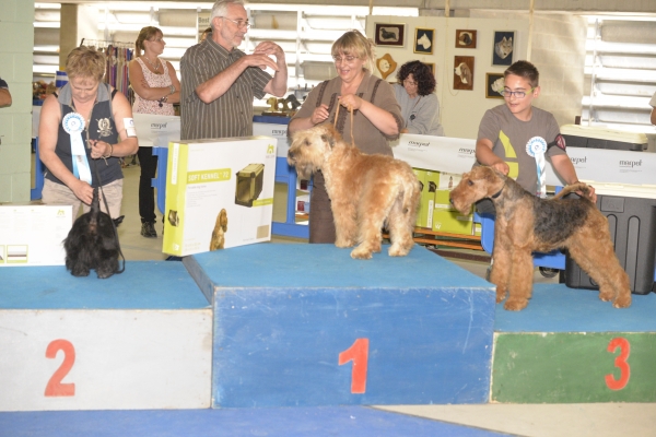 regionale-sauze-201585549EEA-E3C1-AB2F-6579-578A4F5DEFA0.jpg