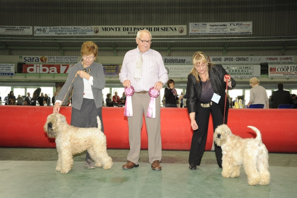 bos-bob4D1EBCA4-E348-6F83-8CF2-D012F9DBF6EE.jpg