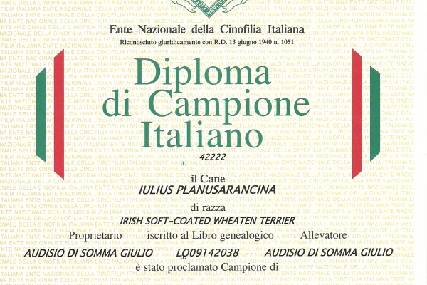 anita-italiano096C539B-438D-BFF3-677E-4837AE1922D0.jpg