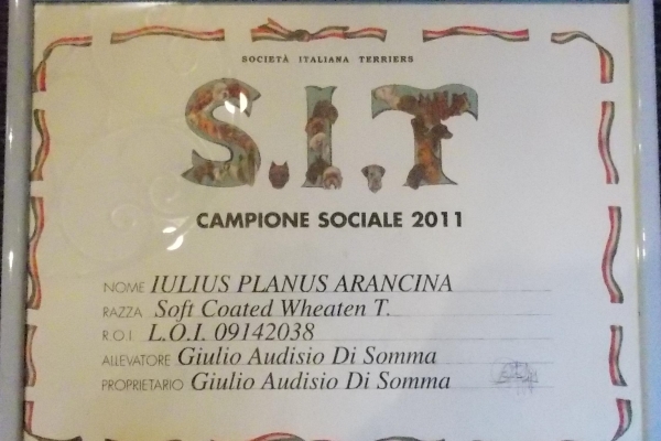 anita15DDE08F5-B268-6693-B04D-8B19F36D91C2.jpg