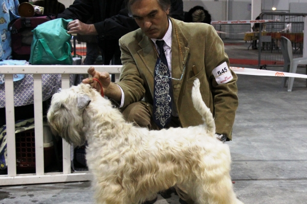 i-p-vellutata-marseilleBCA0B0C8-AD7E-0BA6-C2D6-4FFAC3BDE206.jpg