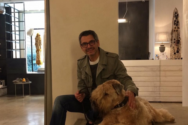 irish soft coated wheaten terrier iulius terriers