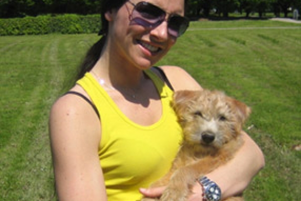 irish soft coated wheaten terrier iulius terriers