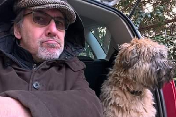 irish soft coated wheaten terrier iulius terriers