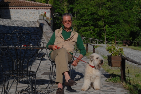 irish soft coated wheaten terrier iulius terriers