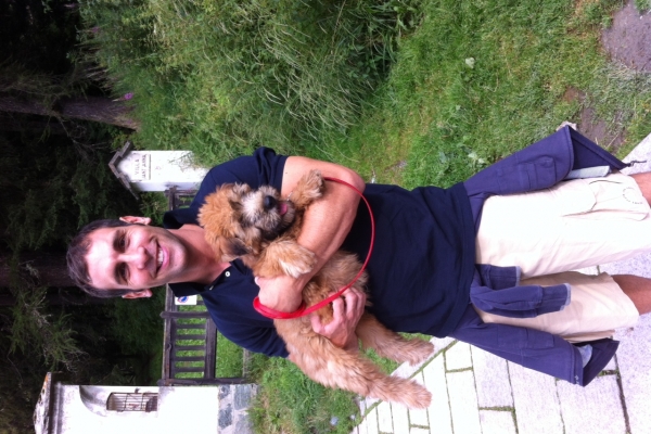 irish soft coated wheaten terrier iulius terriers