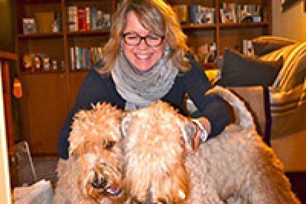 irish soft coated wheaten terrier iulius terriers