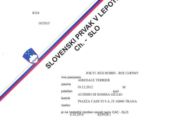 camp-sloveno4170C7A0-4A88-9E24-6273-2E98BB2B52A8.jpg