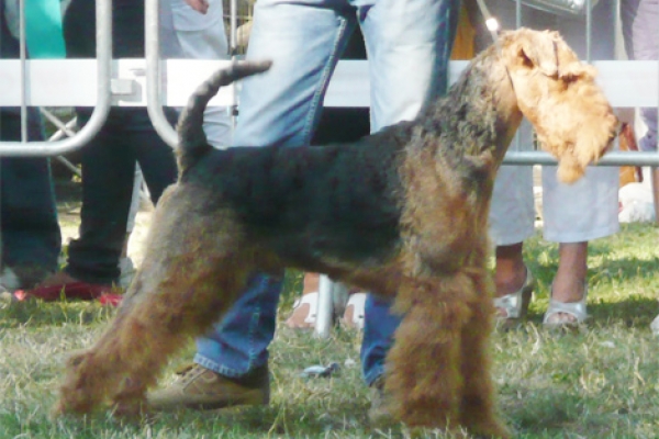 york-18E7A969E-7D4A-BFF6-3A18-3C6348E2C3BA.jpg