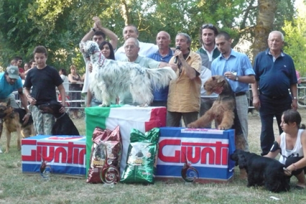 york-2-bis-citta-di-castelloCB543401-2B05-5AD3-2212-44FCACF74DF3.jpg