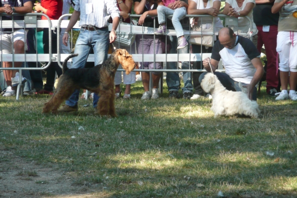 york8E47BF45-9762-50E7-2696-BBFB835837C5.jpg