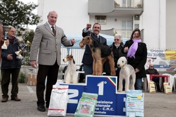 mottola10BED1BEA1-6718-9150-9B31-BC697A45DFCC.jpg