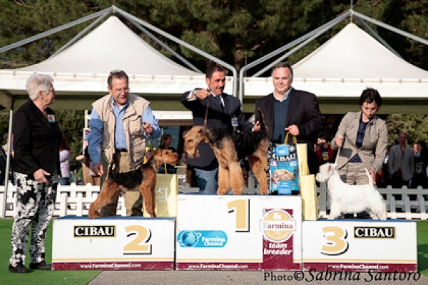 podio-int-catanzaro73C3BCD9-7B23-6BAE-6376-1F226B32A1E2.jpg