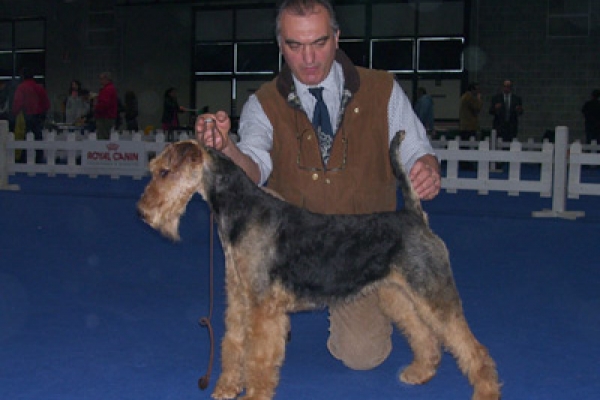 alice153CADFB6-0C5A-DBC5-9877-31274ACC8E65.jpg
