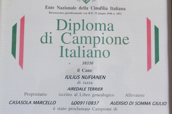 diploma3A591F6E-109A-AD46-88BA-DED08CB65987.jpg